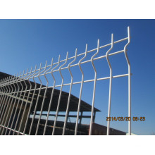 Matéria-prima galvanizada e, em seguida, PVC pintura Wire Mesh Fence